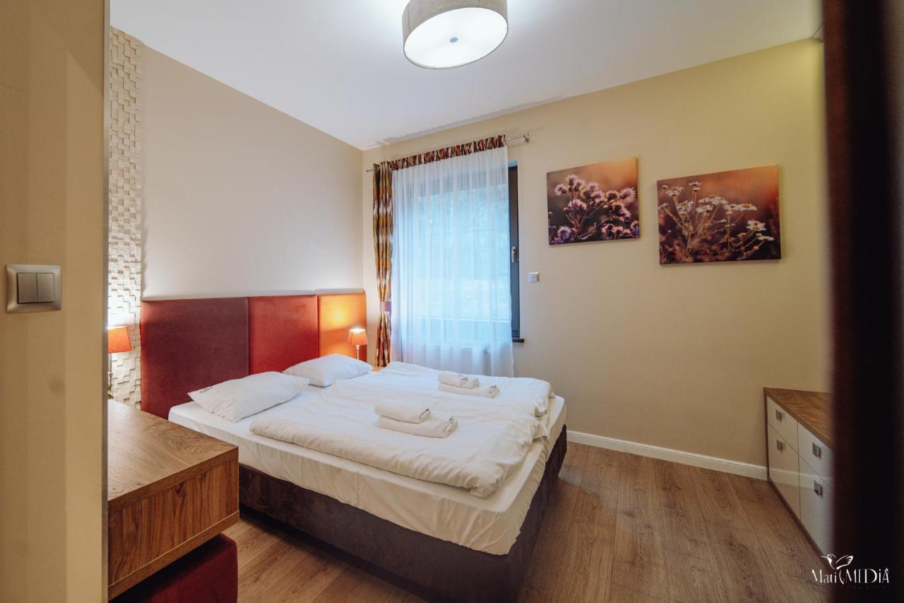 Dolina Wikingow Apartament Oye 09 Szklarska Poreba Extérieur photo