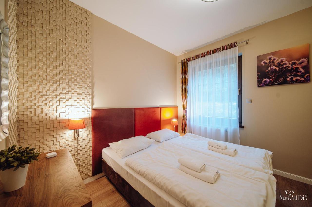 Dolina Wikingow Apartament Oye 09 Szklarska Poreba Extérieur photo